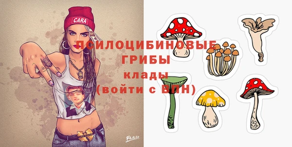 прущий лед Кинешма