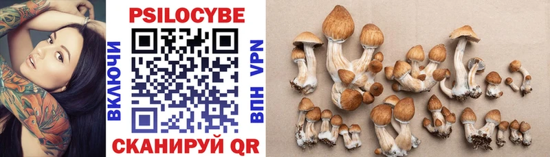 Купить где  Сосновоборск  Галлюциногенные грибы GOLDEN TEACHER 