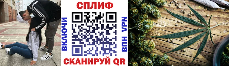 Конопля марихуана  Купить закладки  Сосновоборск 